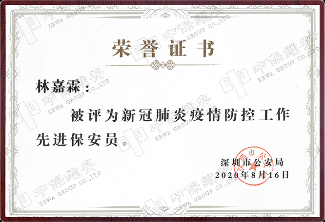新冠肺炎突出奖