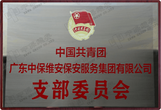 中国共青团支部委员会